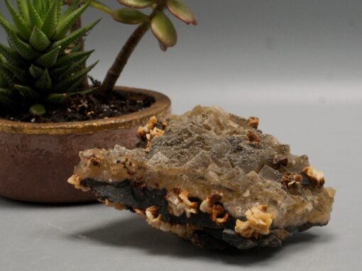 fluorite crystal with druzy pyrite