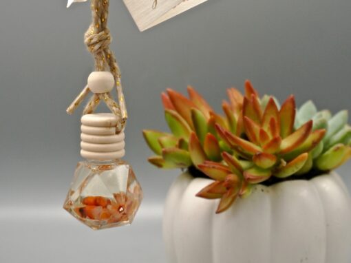 carnelian crystals ~ tropical peach oil diffuser